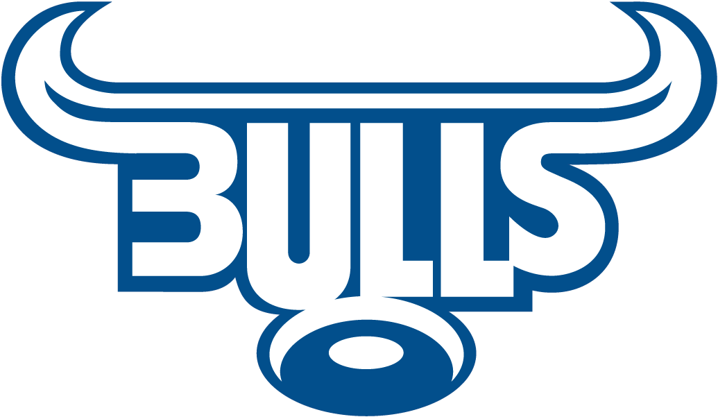 Bulls 1997-Pres Primary Logo vinyl decal